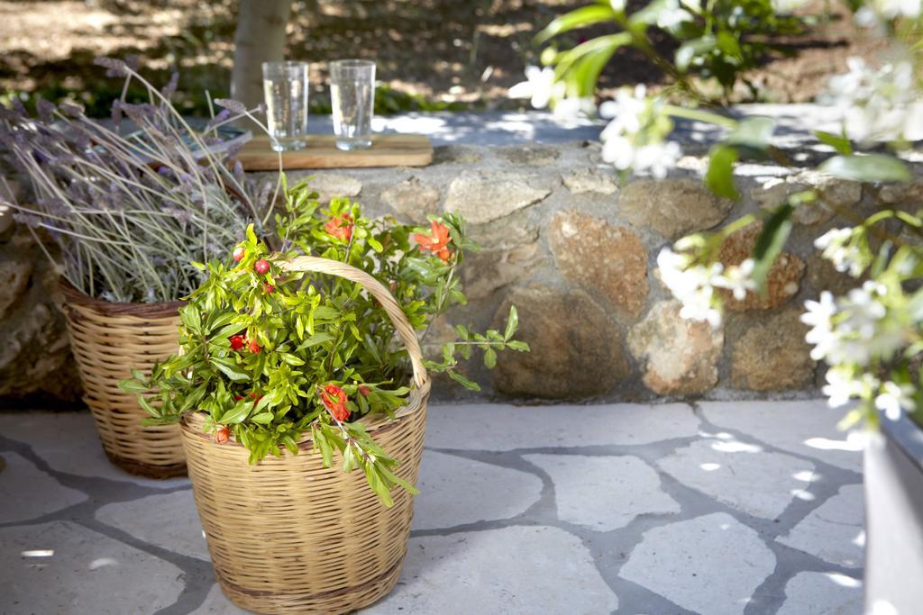 Avra Private Suites Lassi  Exterior foto